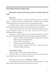 Įmonės organizacinės veiklos vertinimas 13 puslapis