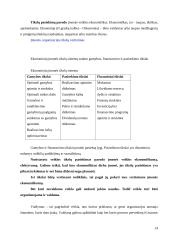 Įmonės organizacinės veiklos vertinimas 14 puslapis