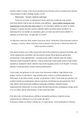 Įmonės organizacinės veiklos vertinimas 17 puslapis