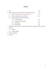 Įmonės organizacinės veiklos vertinimas 6 puslapis