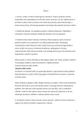 Įmonės organizacinės veiklos vertinimas 7 puslapis