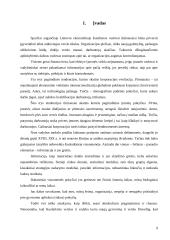 Įmonės organizacinės veiklos vertinimas 9 puslapis