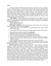 AB "Snaigė" verslo plėtra Lietuvoje ir Rusijoje 2 puslapis