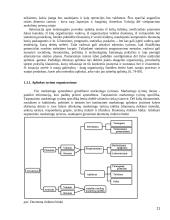 AB "Snaigė" verslo plėtra Lietuvoje ir Rusijoje 11 puslapis