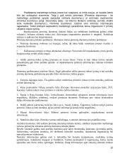 AB "Snaigė" verslo plėtra Lietuvoje ir Rusijoje 12 puslapis