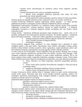 AB "Snaigė" verslo plėtra Lietuvoje ir Rusijoje 20 puslapis