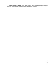 AB "Snaigė" verslo plėtra Lietuvoje ir Rusijoje 3 puslapis