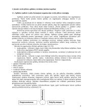 AB "Snaigė" verslo plėtra Lietuvoje ir Rusijoje 4 puslapis