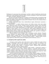 AB "Snaigė" verslo plėtra Lietuvoje ir Rusijoje 5 puslapis