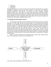 AB "Snaigė" verslo plėtra Lietuvoje ir Rusijoje 9 puslapis