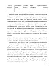 Gamybinės įmonės valdymas  11 puslapis