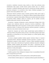 Gamybinės įmonės valdymas  20 puslapis