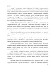 Gamybinės įmonės valdymas  4 puslapis