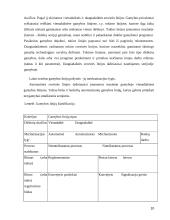 Gamybinės įmonės valdymas  10 puslapis