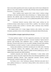Funkcijų iškėlimo strategijos įgyvendinimas Lietuvoje 7 puslapis