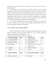 Įmonės UAB "Arginta" mikroaplinkos analizė 11 puslapis