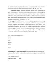 Rinkodaros aplinkos veiksniai 12 puslapis