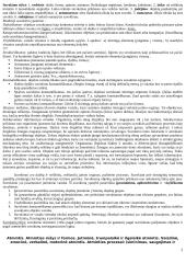 Pažinimo psichologijos išsami medžiaga 2 puslapis
