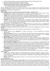 Pažinimo psichologijos išsami medžiaga 11 puslapis