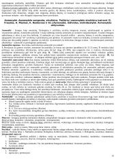 Pažinimo psichologijos išsami medžiaga 12 puslapis