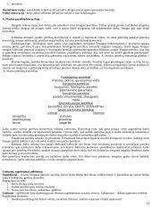 Pažinimo psichologijos išsami medžiaga 13 puslapis