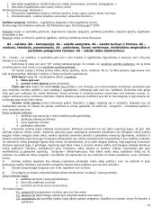 Pažinimo psichologijos išsami medžiaga 14 puslapis