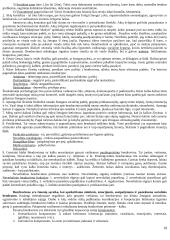 Pažinimo psichologijos išsami medžiaga 18 puslapis