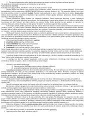 Pažinimo psichologijos išsami medžiaga 19 puslapis