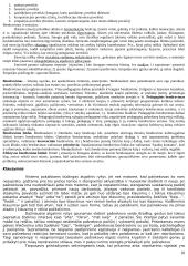 Pažinimo psichologijos išsami medžiaga 20 puslapis