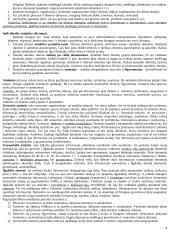 Pažinimo psichologijos išsami medžiaga 4 puslapis