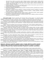 Pažinimo psichologijos išsami medžiaga 6 puslapis