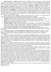 Pažinimo psichologijos išsami medžiaga 7 puslapis