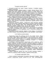 Tiesioginio poveikio aplinka