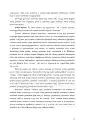 Įmonės matricinis valdymas 2 puslapis