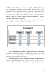 Įmonės matricinis valdymas 11 puslapis