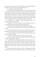 Įmonės matricinis valdymas 12 puslapis