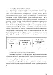 Įmonės matricinis valdymas 15 puslapis