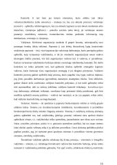 Įmonės matricinis valdymas 16 puslapis