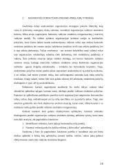 Įmonės matricinis valdymas 18 puslapis