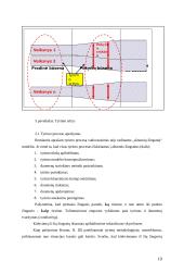 Įmonės matricinis valdymas 19 puslapis