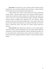 Įmonės matricinis valdymas 3 puslapis