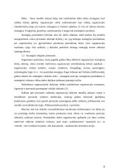 Įmonės matricinis valdymas 8 puslapis