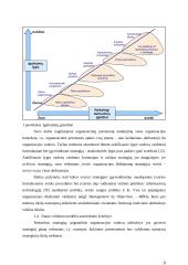 Įmonės matricinis valdymas 9 puslapis