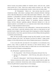 Įmonės strategijos kūrimas AB "Hidroprojektas" 14 puslapis