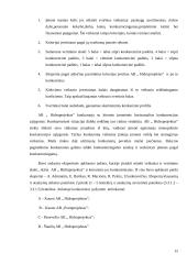 Įmonės strategijos kūrimas AB "Hidroprojektas" 15 puslapis
