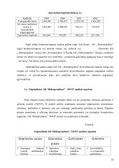 Įmonės strategijos kūrimas AB "Hidroprojektas" 19 puslapis
