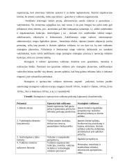 Įmonės strategijos kūrimas AB "Hidroprojektas" 4 puslapis