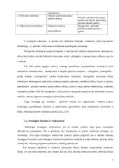 Įmonės strategijos kūrimas AB "Hidroprojektas" 5 puslapis