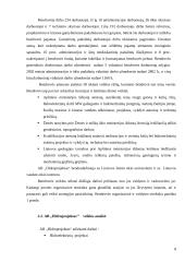 Įmonės strategijos kūrimas AB "Hidroprojektas" 8 puslapis