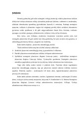Planavimo metodologijos  2 puslapis